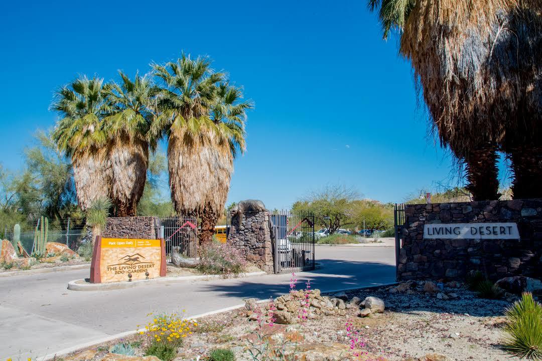 Living Desert Zoo & Gardens